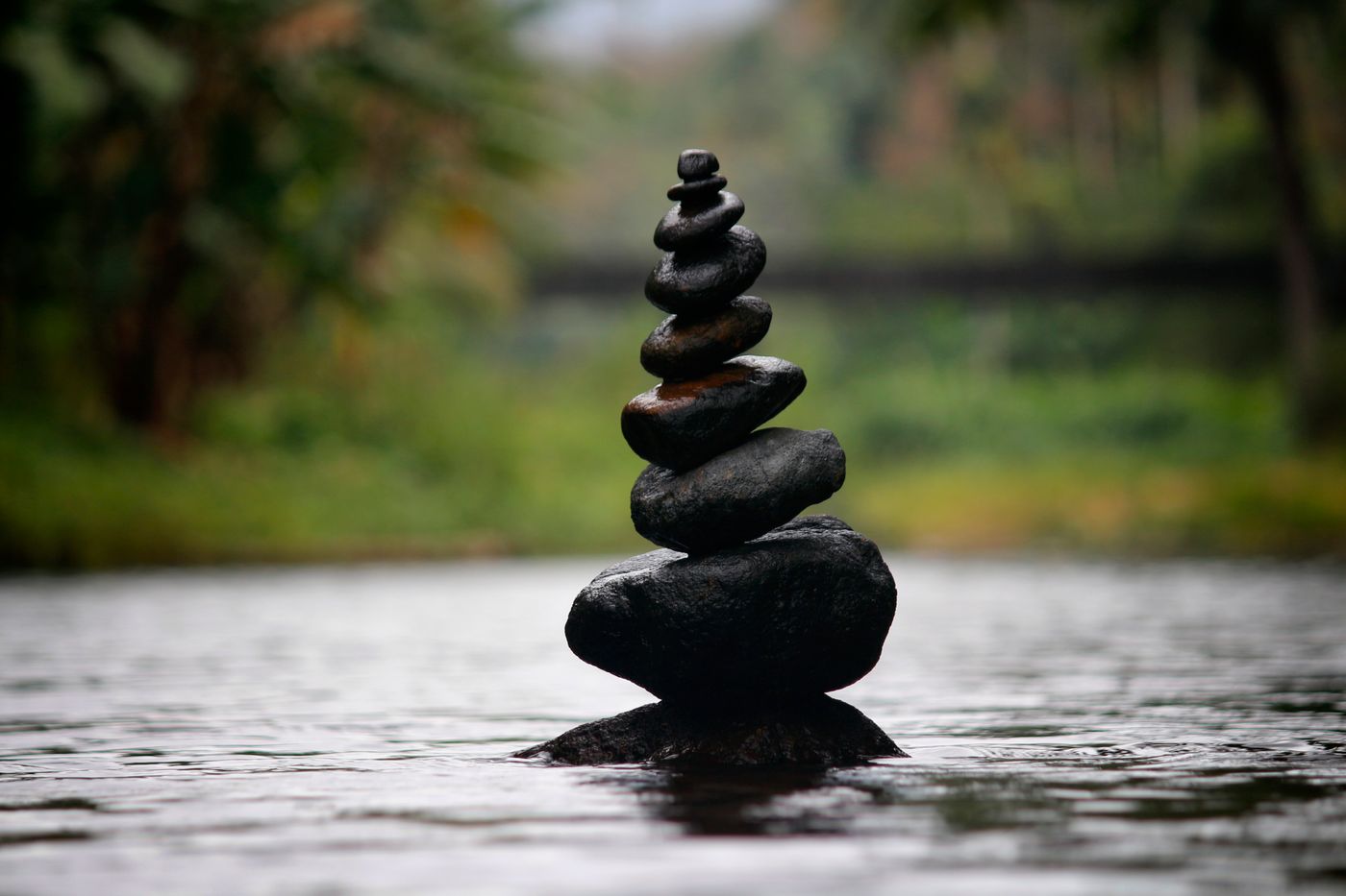 Life Coaching